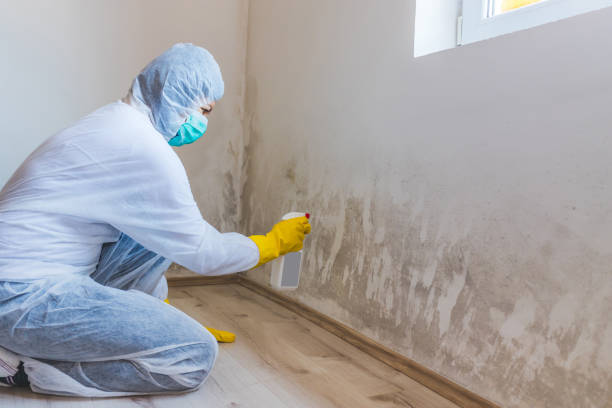 Licensed Bathroom Mold Removal service in Washington, VA - WQB Mold Removal