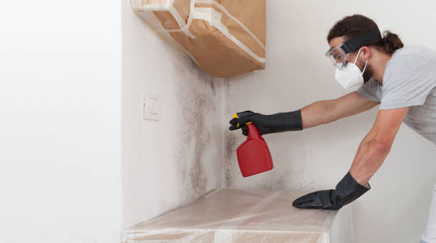 Professional Bathroom Mold Removal technician working in Washington, VA
