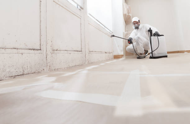 24/7 Emergency Bathroom Mold Removal experts in Washington, VA