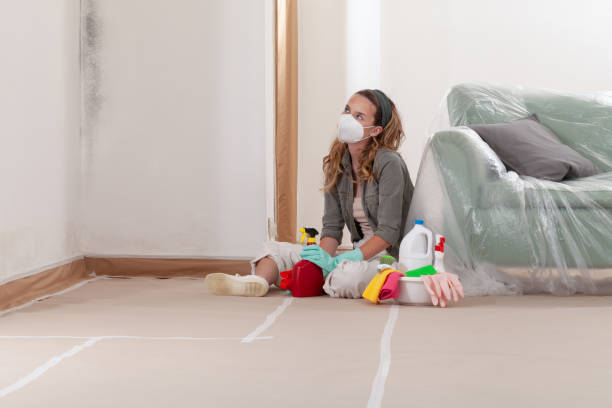 Reliable Bathroom Mold Removal contractor in Washington, VA by WQB Mold Removal